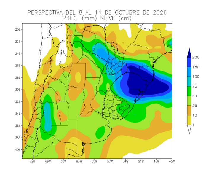 Captura de pantalla 2026-10-08 155922.png