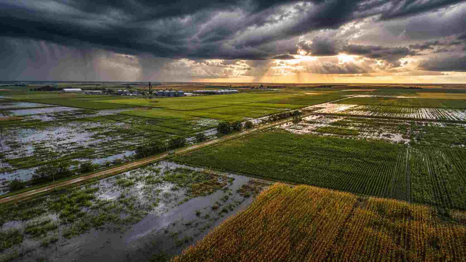 Cómo seguir la evolución de El Niño y consultar sus posibles efectos en el campo