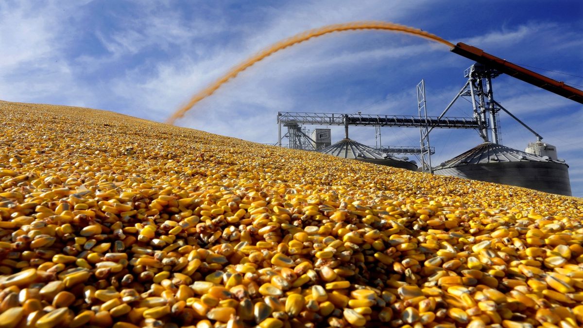 Los granos argentinos combinan ventas récord, nuevos destinos y presión sobre los precios