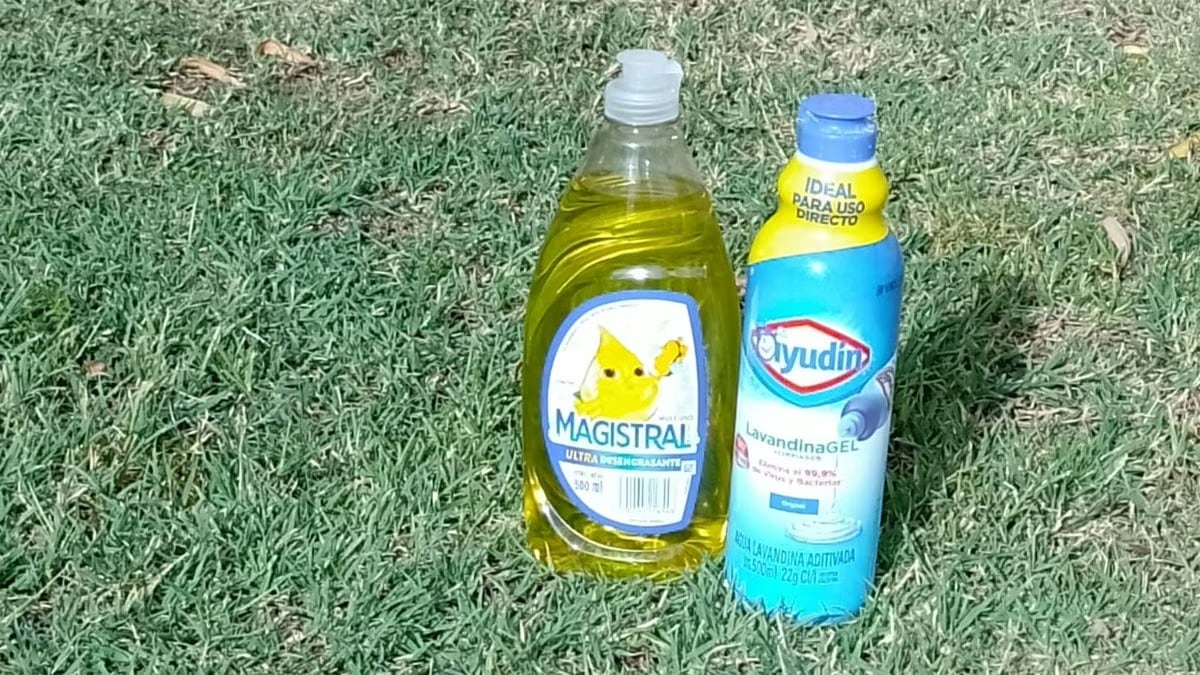 Por qué nunca hay que mezclar lavandina con detergente, según un neumonólogo
