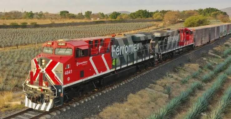 Se cae Ferromex de la puja por el Belgrano Cargas en plena polémica por los ramales C14 y C15: qué puede pasar en el NOA