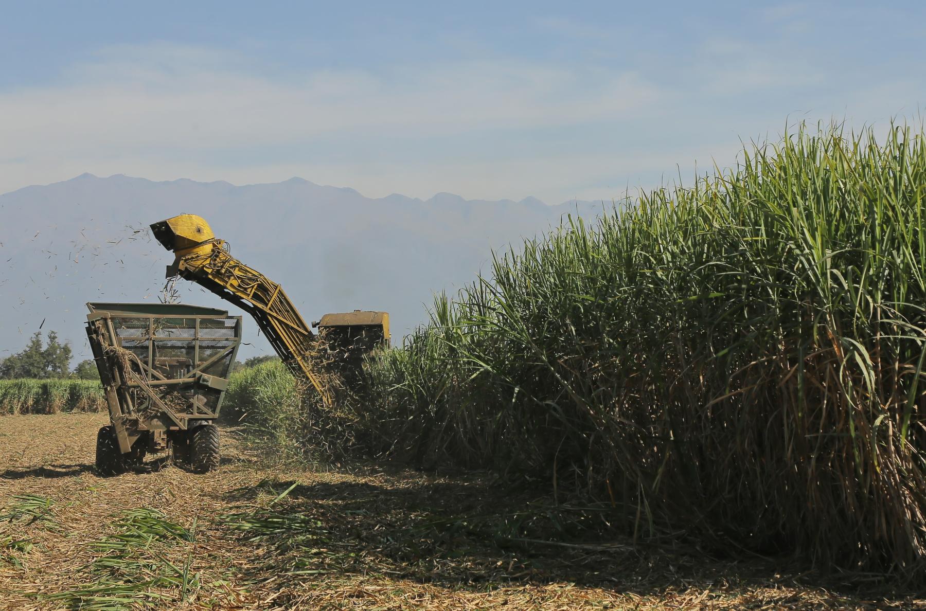 Proponen seis ejes para potenciar y diversificar la producción agropecuaria en Tucumán