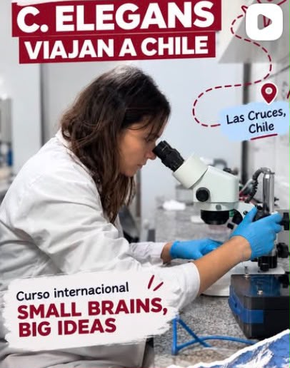 A post shared by IMMCA.Lab (@immca.lab)