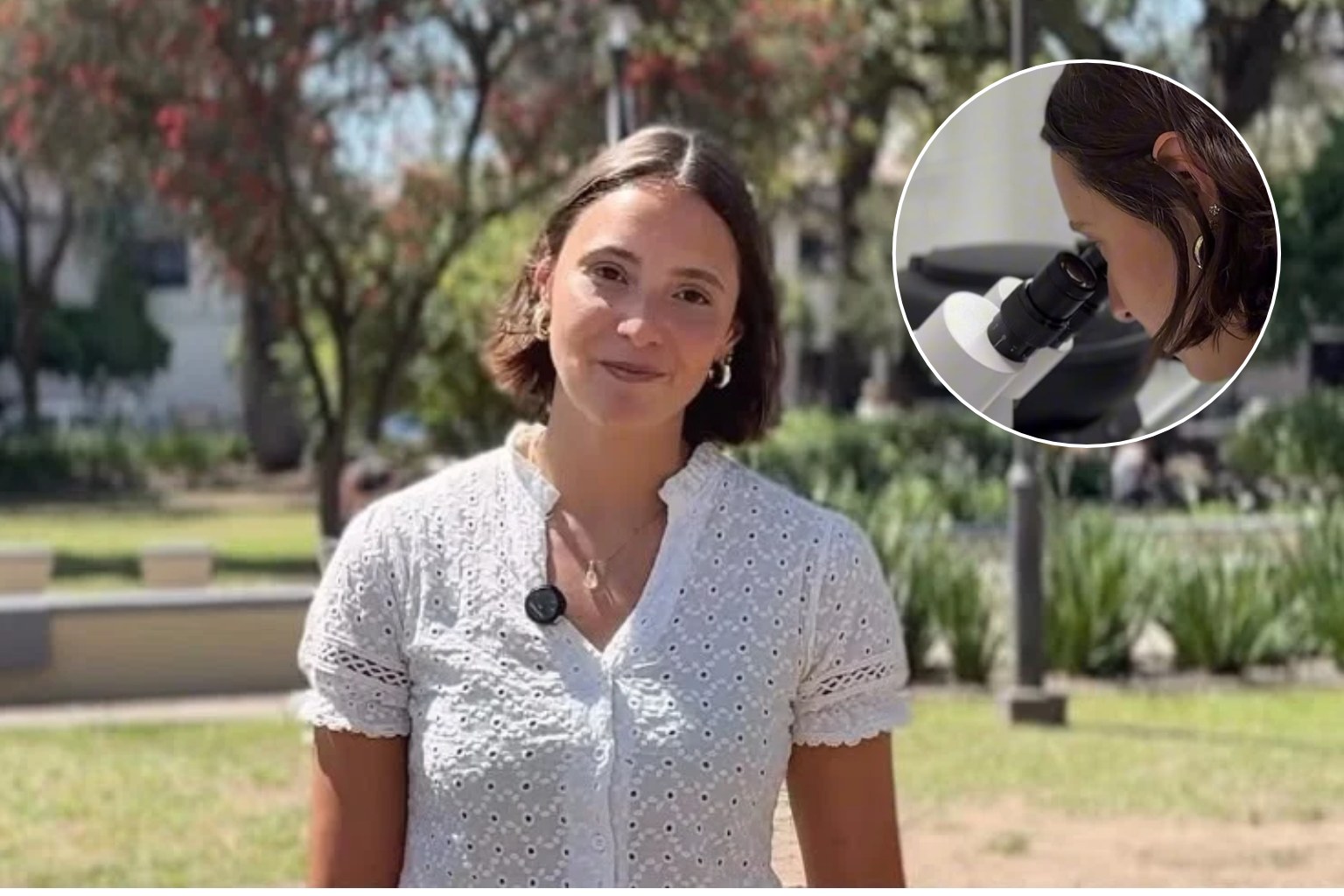 De Tucumán a Chile: una científica tucumana busca desentrañar los mecanismos del párkinson a través de gusanos diminutos