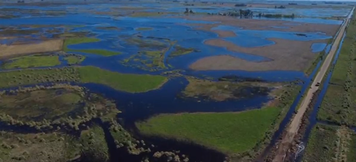 El Gobierno declaró la emergencia agropecuaria por inundaciones en zonas de Buenos Aires