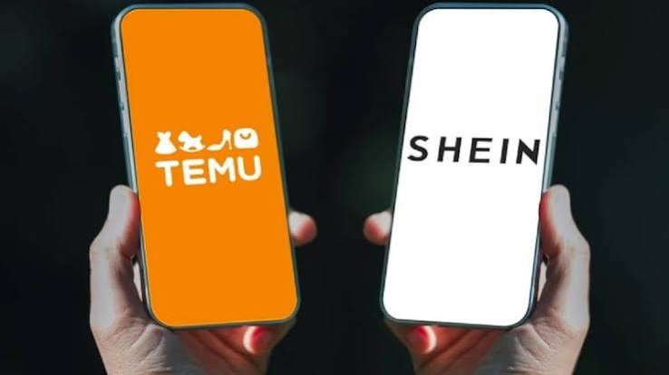 sein temu ilegales.jfif