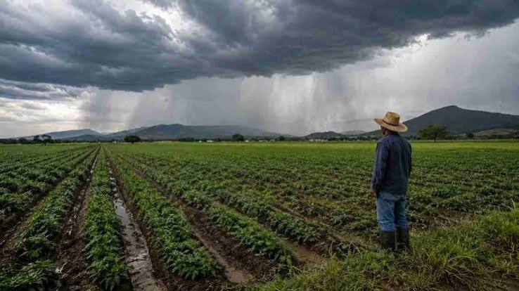 Las lluvias de El Niño abren una oportunidad que la nutrición debe acompañar