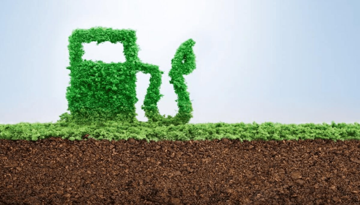 Un plenario de tres comisiones debatirá el nuevo régimen de biocombustibles