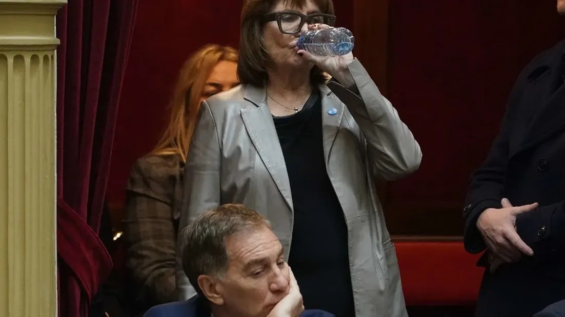 El Senado debatirá la reforma de la Ley de Salud Mental y dos proyectos de incentivos a las inversiones
