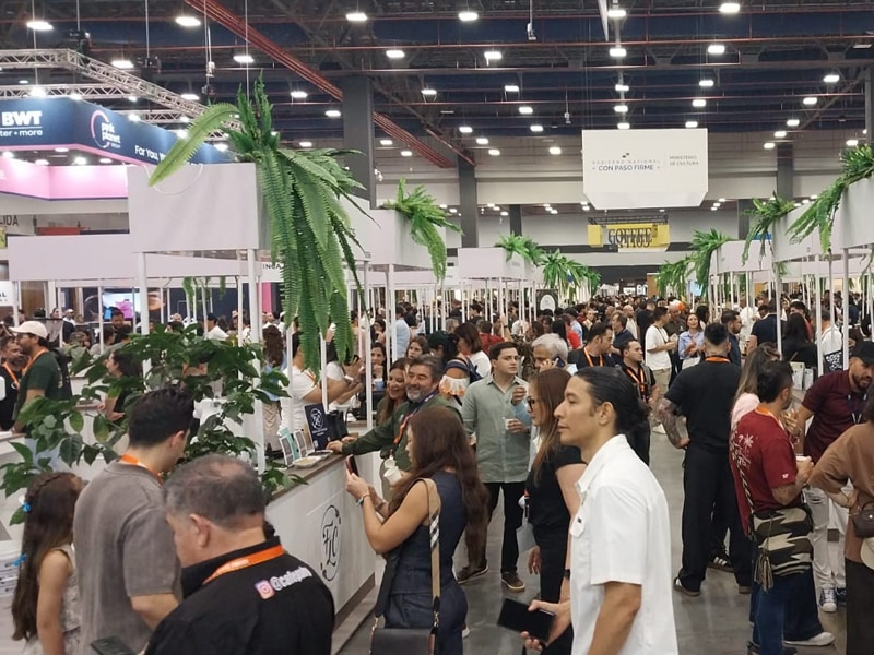 Misión internacional en Panamá: la Provincia busca potenciar la caficultura local y abrir nuevos mercados para su producción