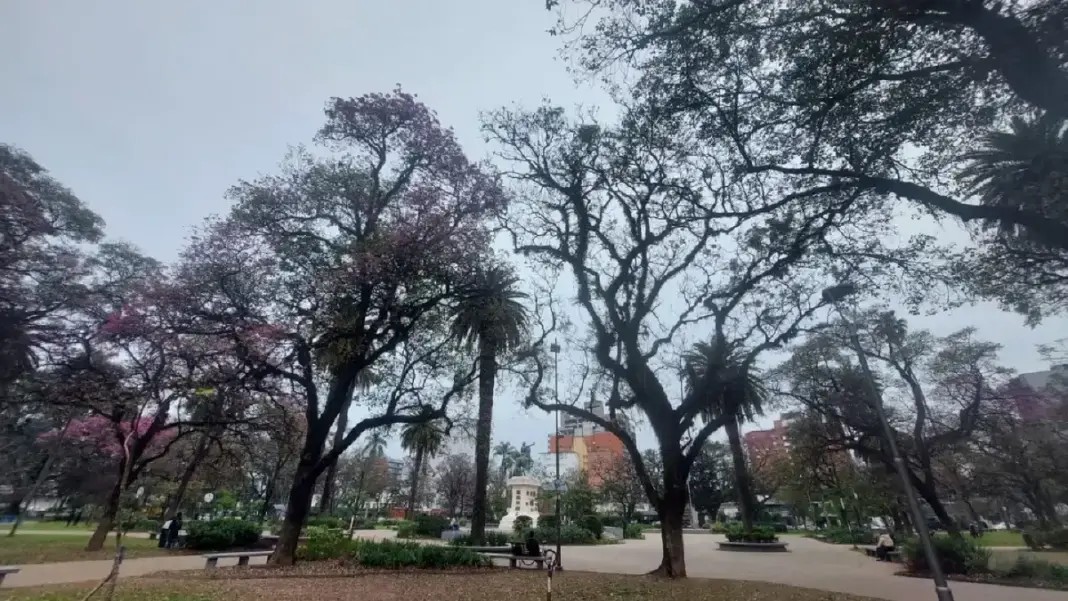 El tiempo en Tucumán: anticipan tormentas aisladas y una máxima de 27 grados para este viernes