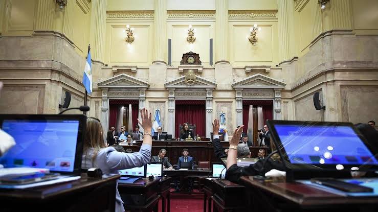 El Senado aprobó la reforma de la Ley de Salud Mental y habilitó cambios en las internaciones involuntarias