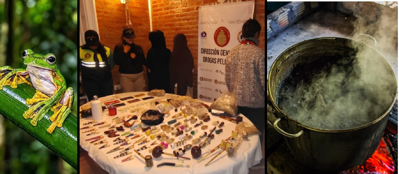 Vendían "viajes ancestrales" con un chamán brasileño a $300.000 y hacían fiestas alucinógenas: terminaron presos
