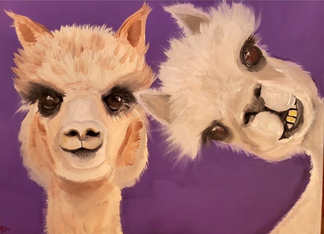 Twin Llamas