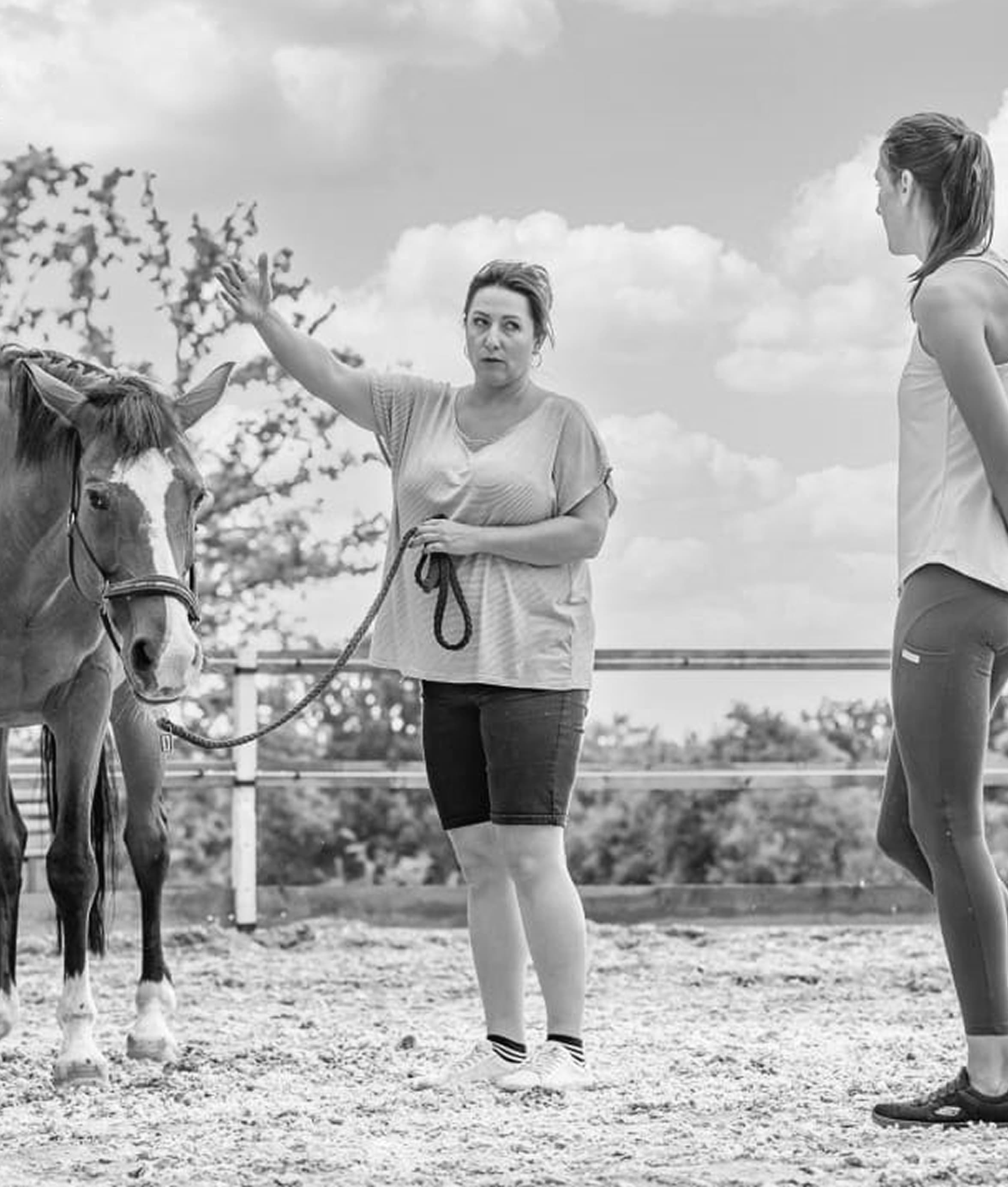 Pozadí Webové stránky pro
výcvik koní a jízdárnu