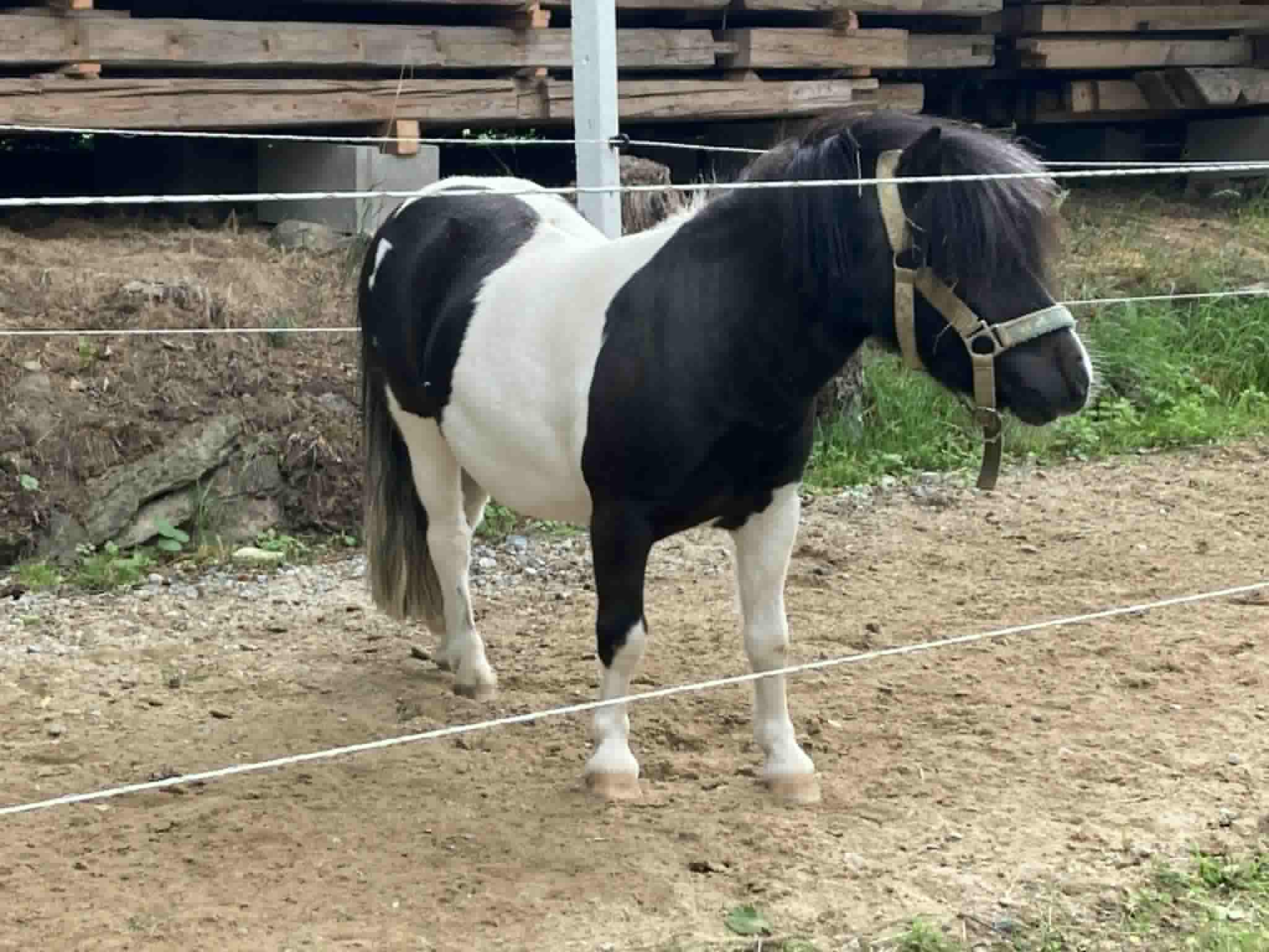 Malý farmář 