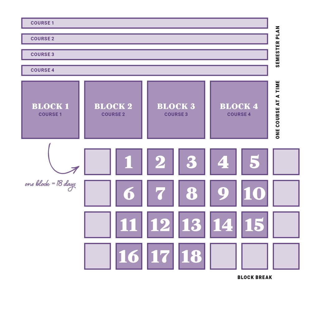 Mastering Knowledge: Dive Deep with Cornell College's Block Plan