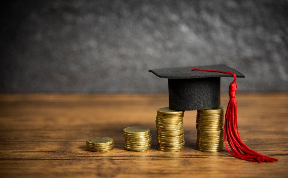 From Confusion to Clarity: Making Informed Loan Decisions