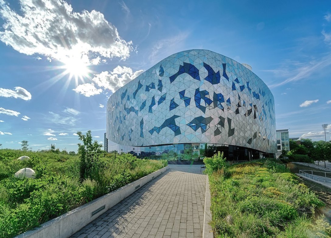 Students Get Work Experience While Studying at York University in Toronto, Canada