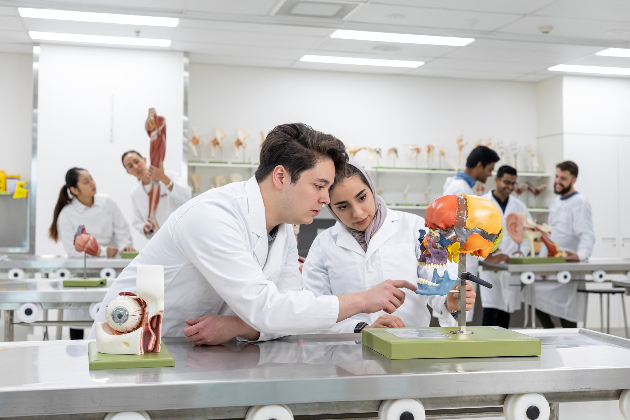Getting Hands-On Experience in Medicine