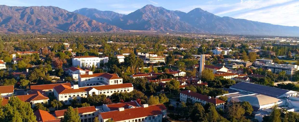 From Pomona to Purpose: How Interdisciplinary Learning Launched My Life's Work