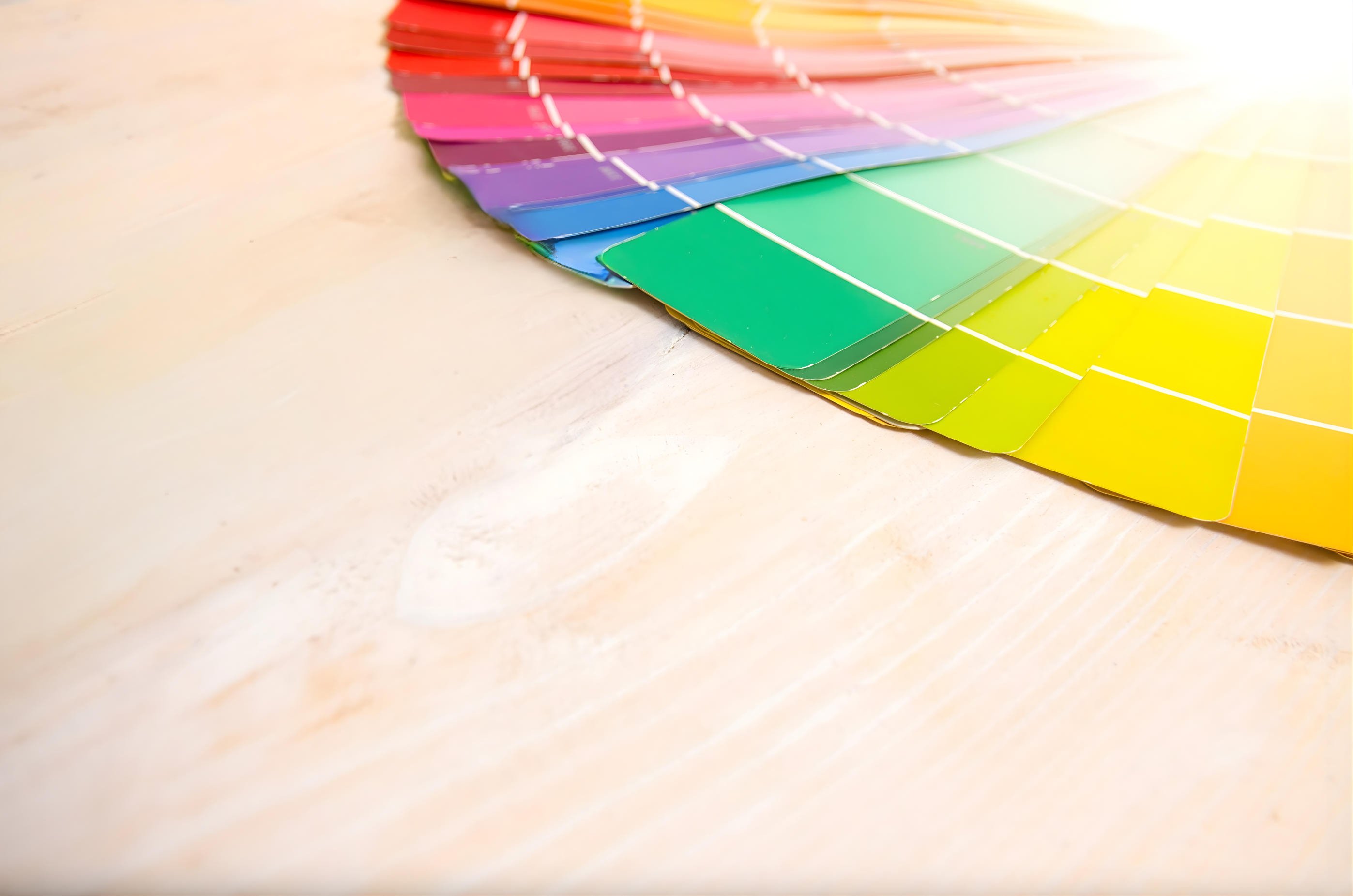 Graphic Design 101: Education, Portfolios, and Professional Pathways