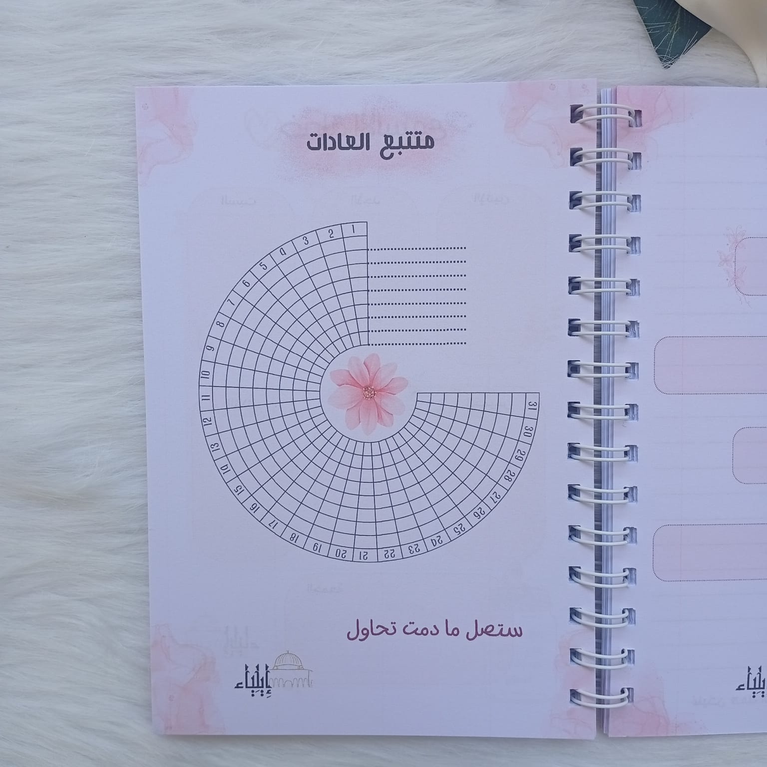 مخطط أسبوعي بينك - متجر إيلياء - الصورة 5