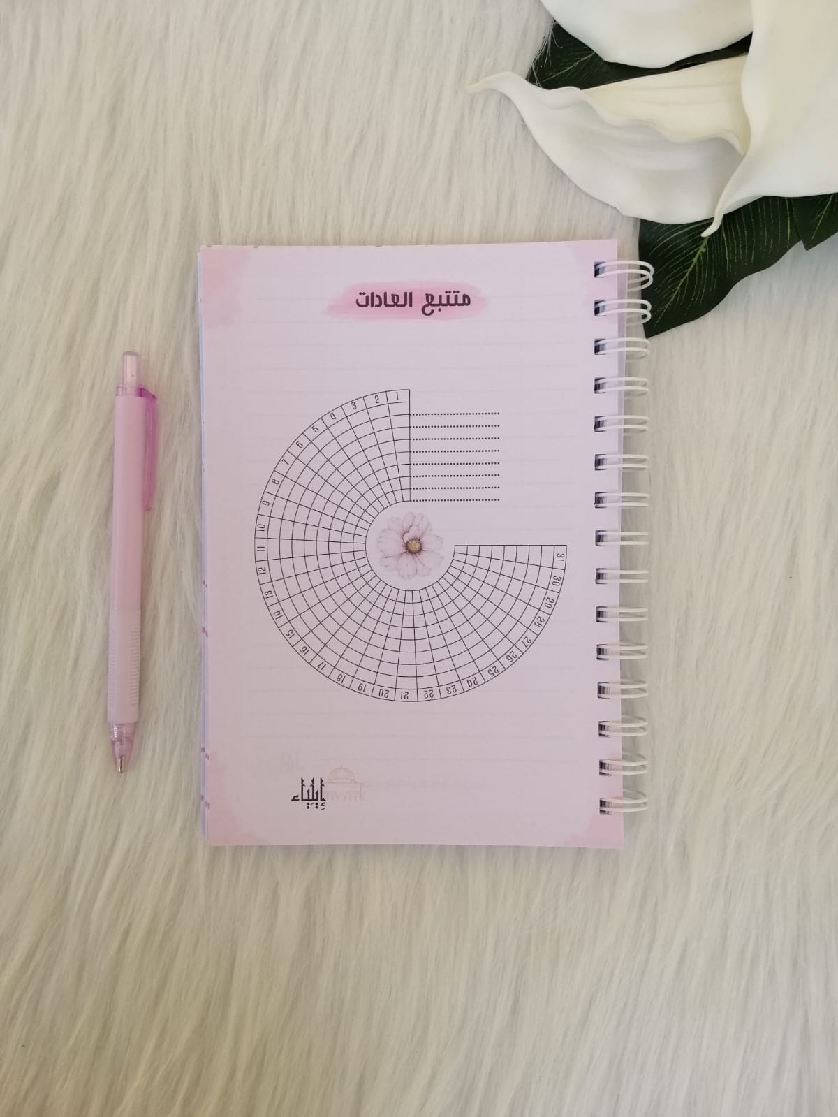 مخطط يومي - متجر إيلياء - الصورة 5