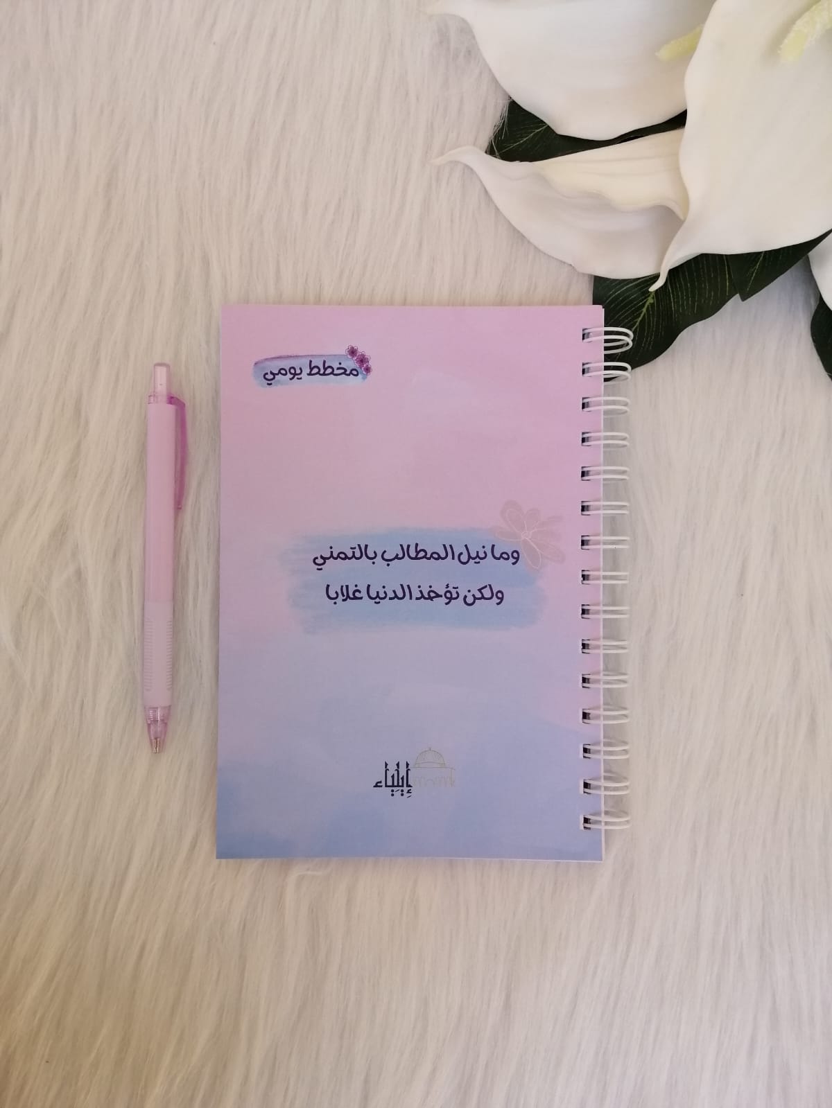 مخطط يومي - متجر إيلياء