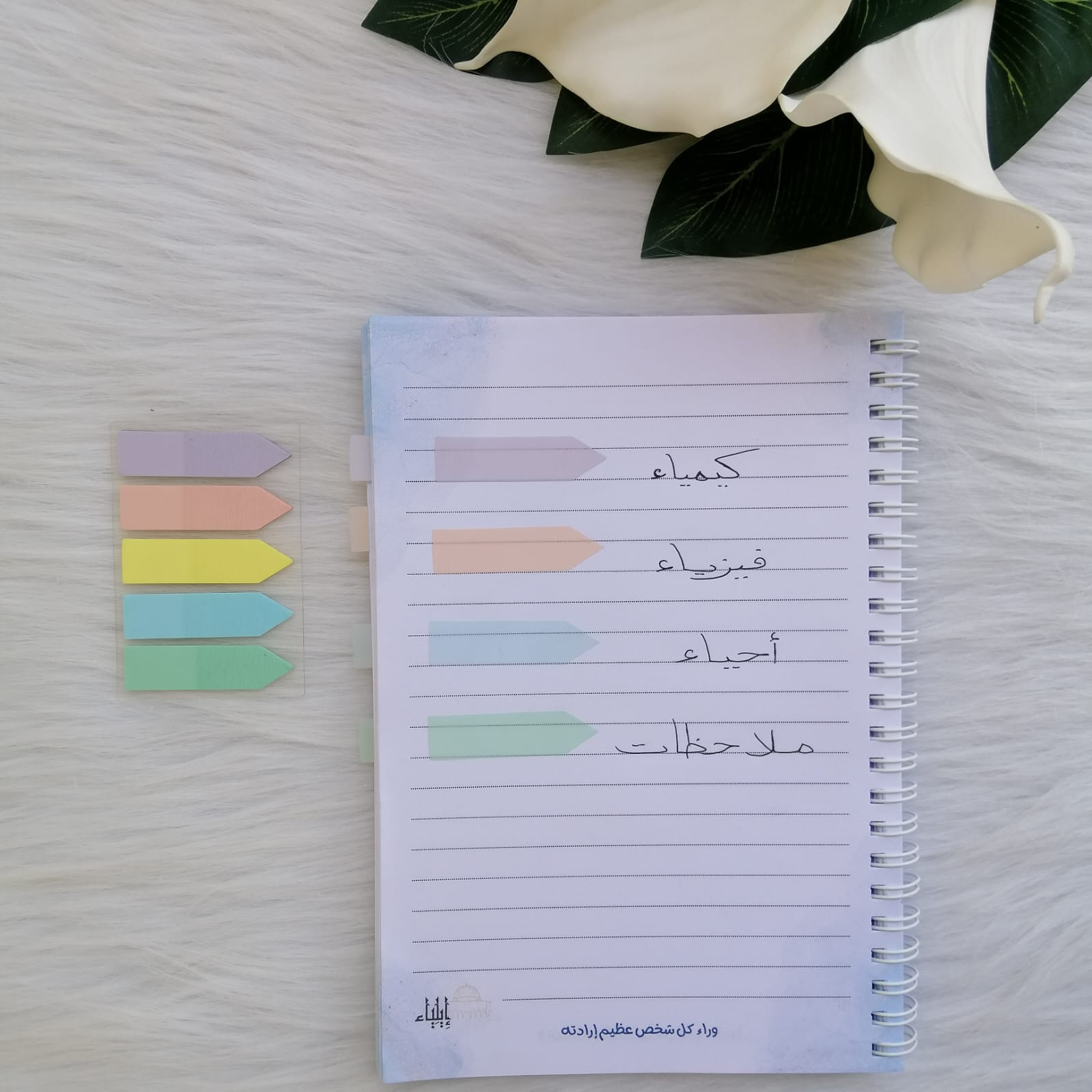 ⁦فواصل أسهم باستيل 1 - متجر إيلياء⁩ - الصورة ⁦2⁩