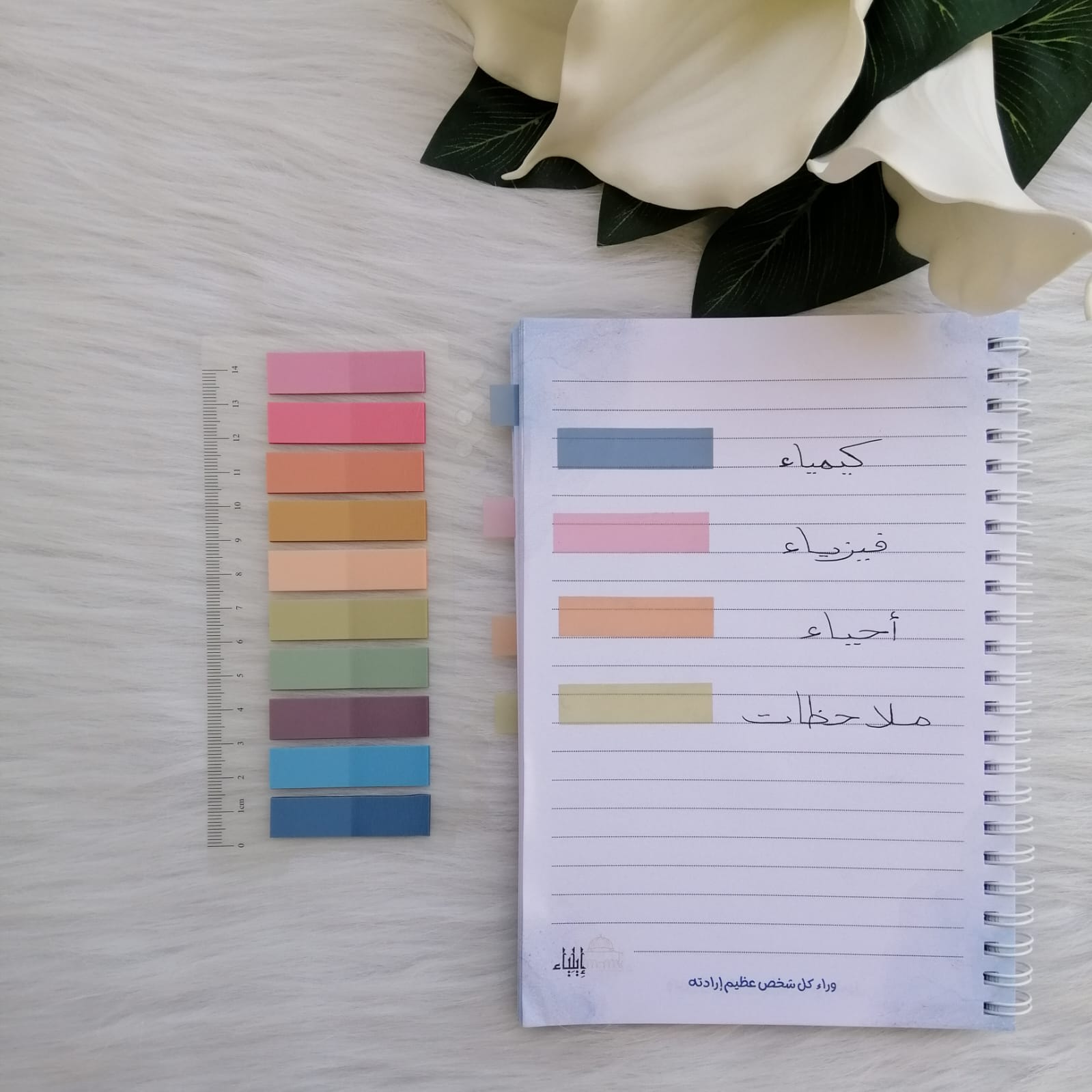 ⁦فواصل بلاستيك أزرق - متجر إيلياء⁩ - الصورة ⁦2⁩