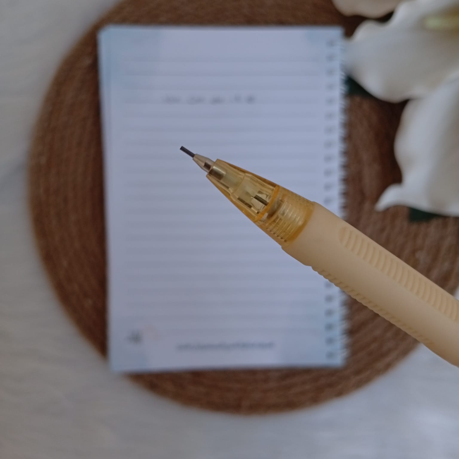 ⁦قلم سنون أصفر - متجر إيلياء⁩ - الصورة ⁦2⁩