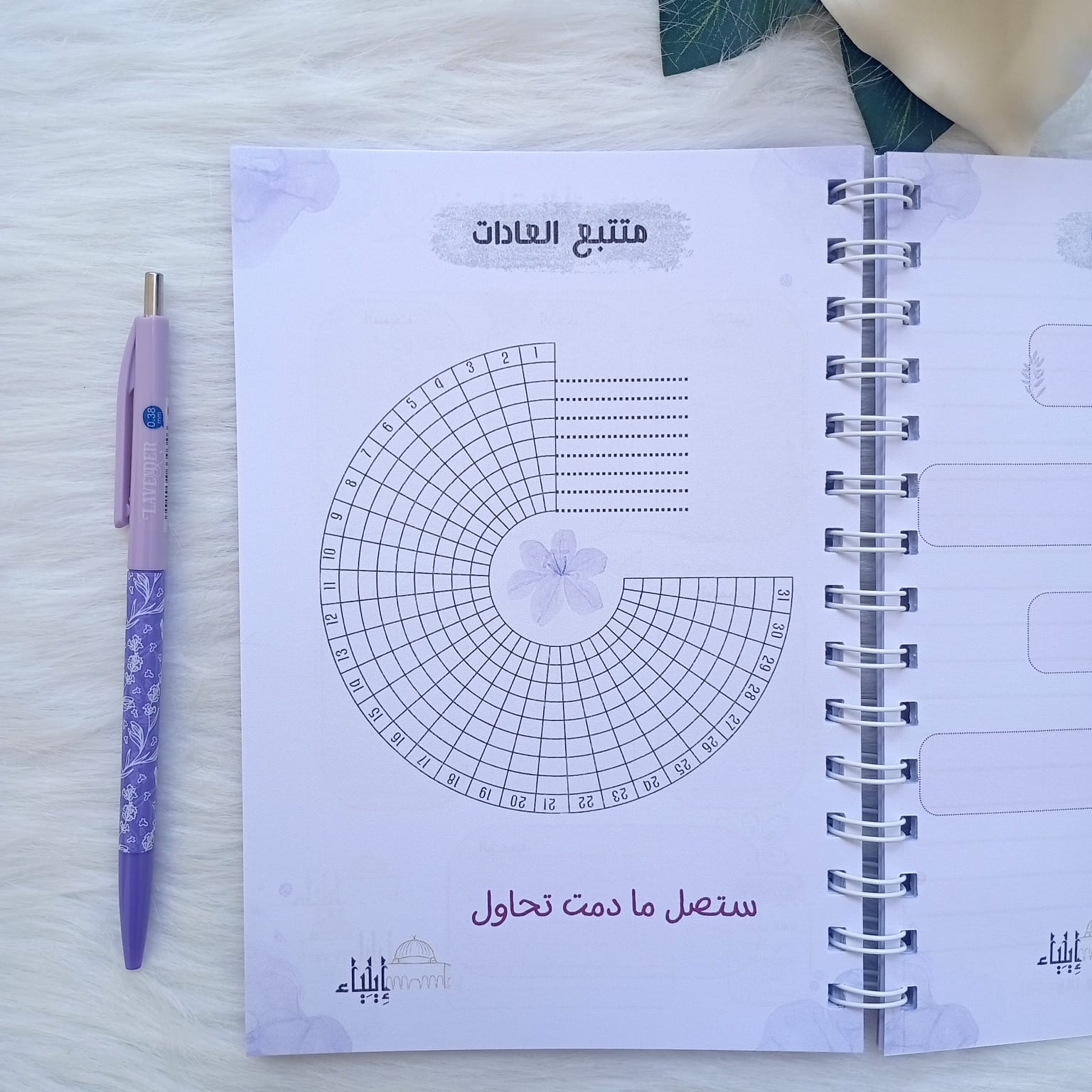 باكدج المخطط الأسبوعي لافندر - متجر إيلياء - الصورة 6