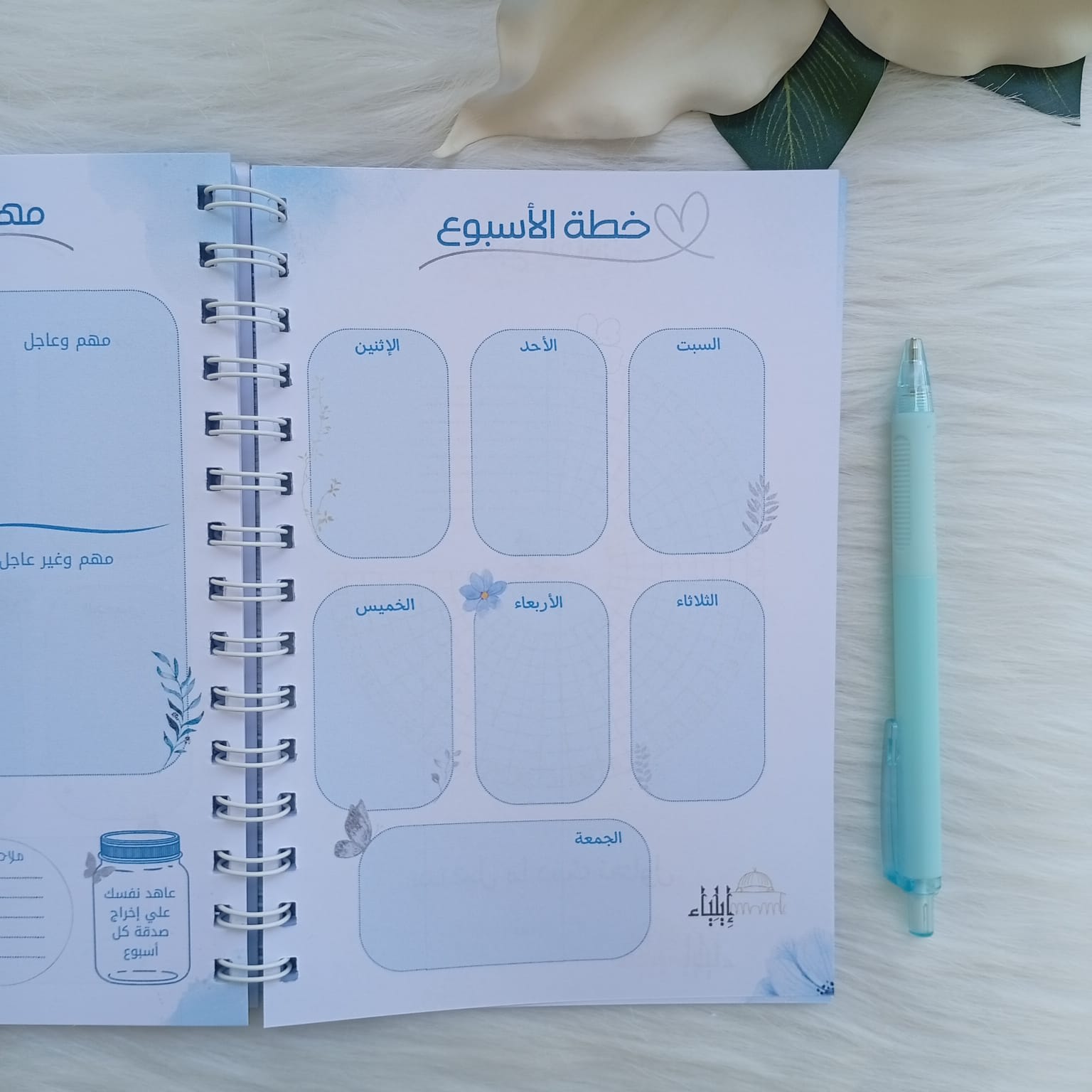 باكدج المخطط الأسبوعي أزرق - متجر إيلياء - الصورة 7