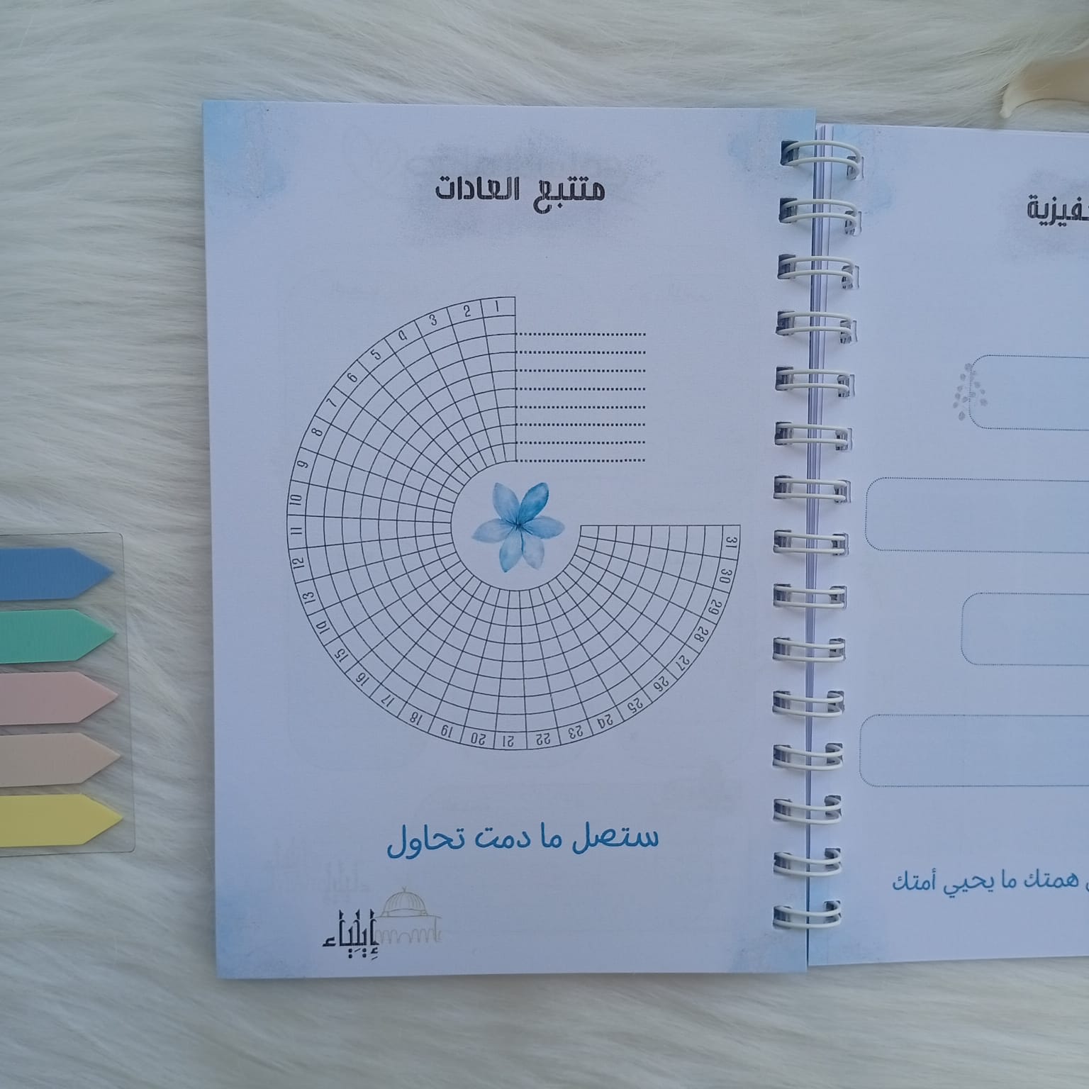 باكدج المخطط الأسبوعي أزرق - متجر إيلياء - الصورة 6