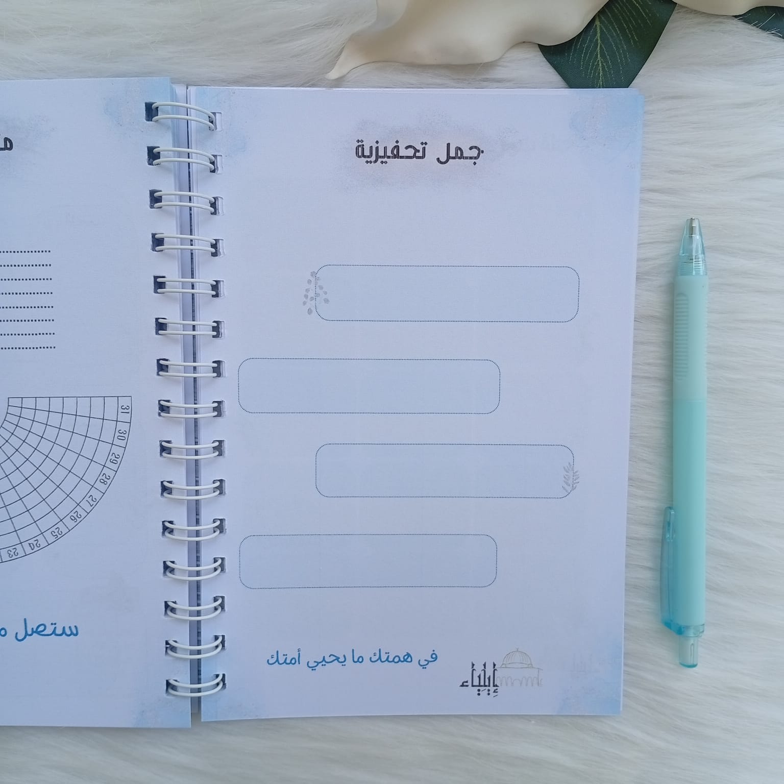 باكدج المخطط الأسبوعي أزرق - متجر إيلياء - الصورة 5