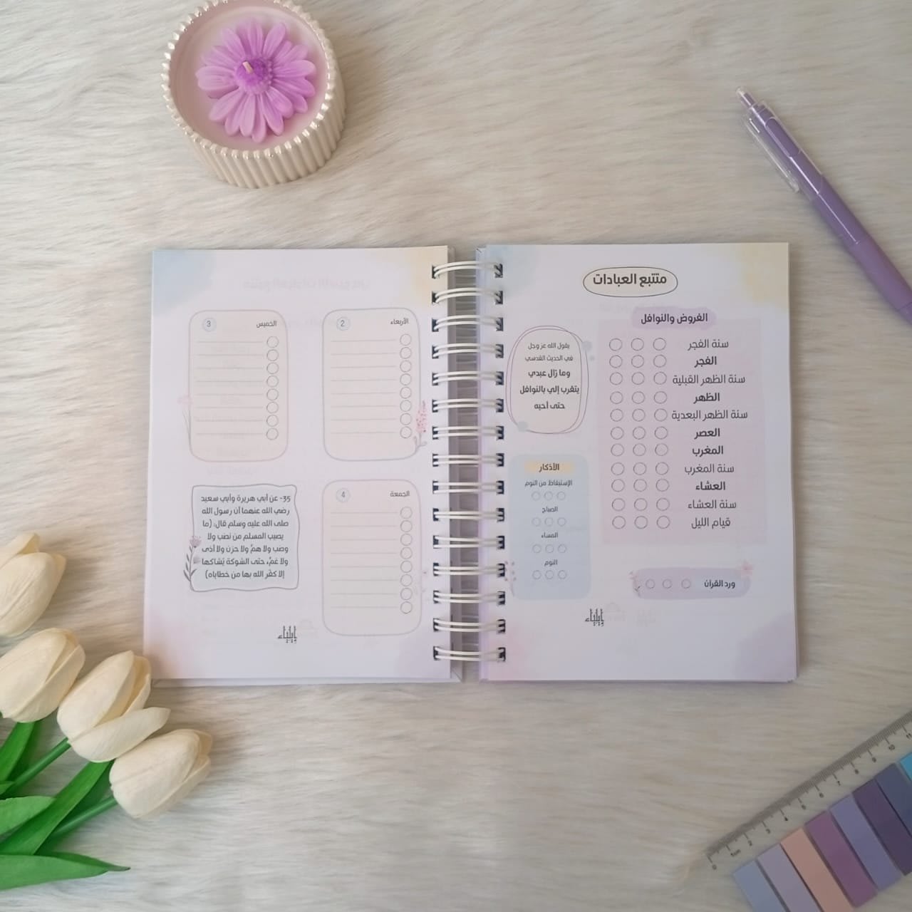 بوكس 2026 "أثر" - متجر إيلياء - الصورة 16