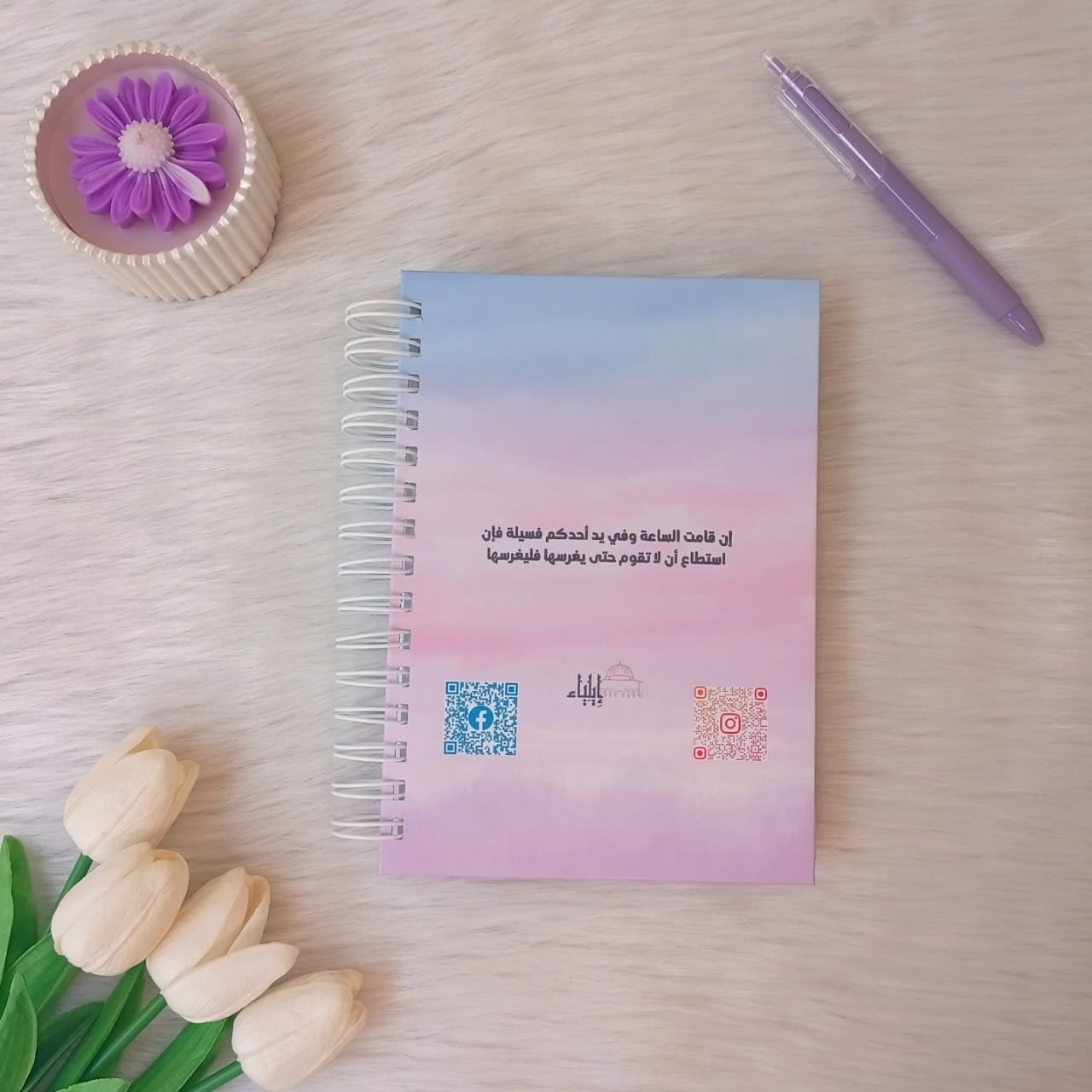 ⁦بوكس 2026 "لا أبرح" - متجر إيلياء⁩ - الصورة ⁦18⁩