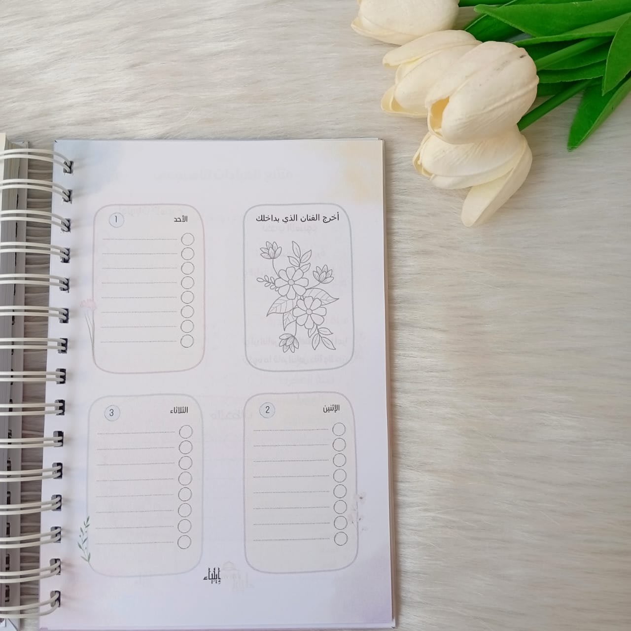 ⁦بوكس 2026 "لا أبرح" - متجر إيلياء⁩ - الصورة ⁦16⁩