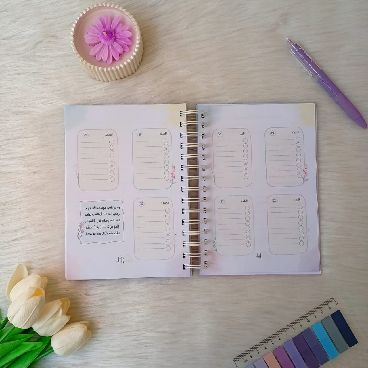 بوكس 2026 "لا أبرح" - متجر إيلياء - الصورة 13