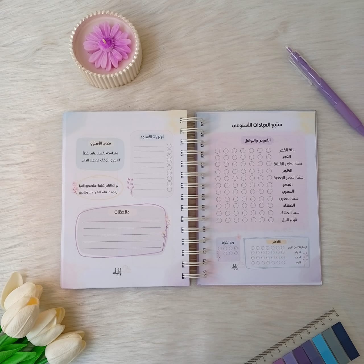 ⁦بوكس 2026 "لا أبرح" - متجر إيلياء⁩ - الصورة ⁦12⁩