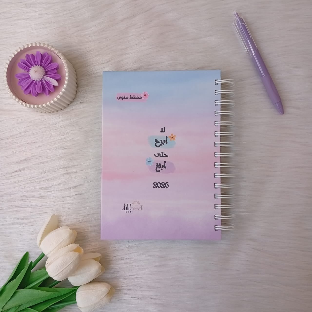 بوكس 2026 "لا أبرح" - متجر إيلياء - الصورة 2