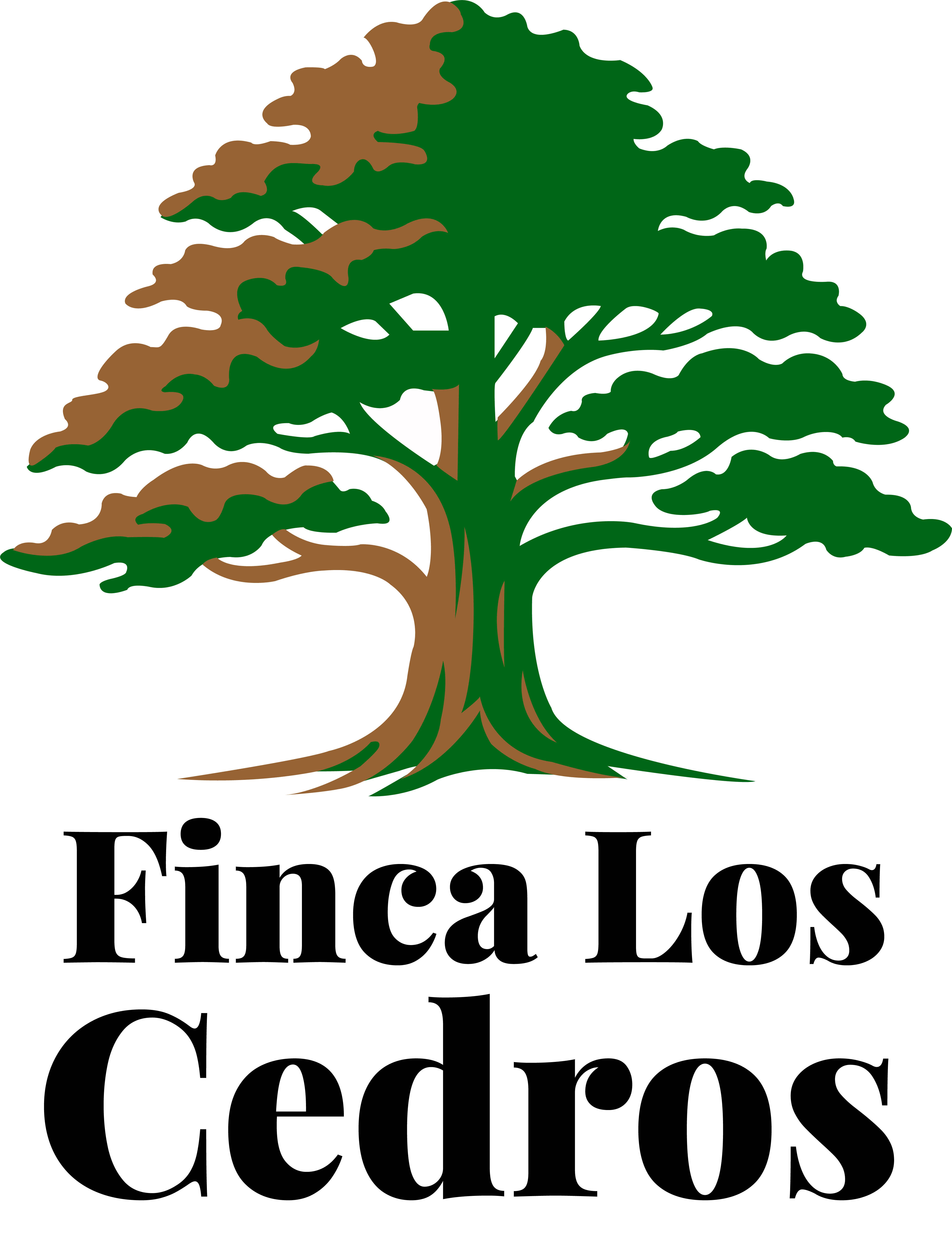Finca Los Cedros
