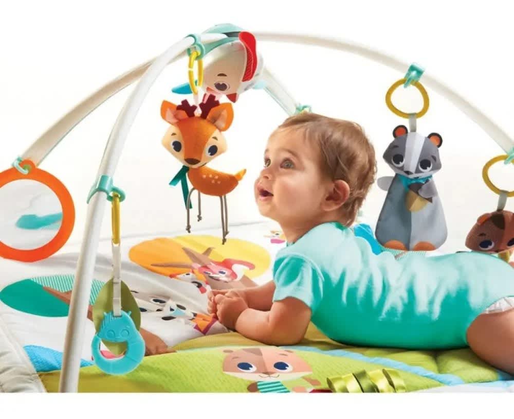 Gimnasio de Lujo Into the forest Tiny Love 3