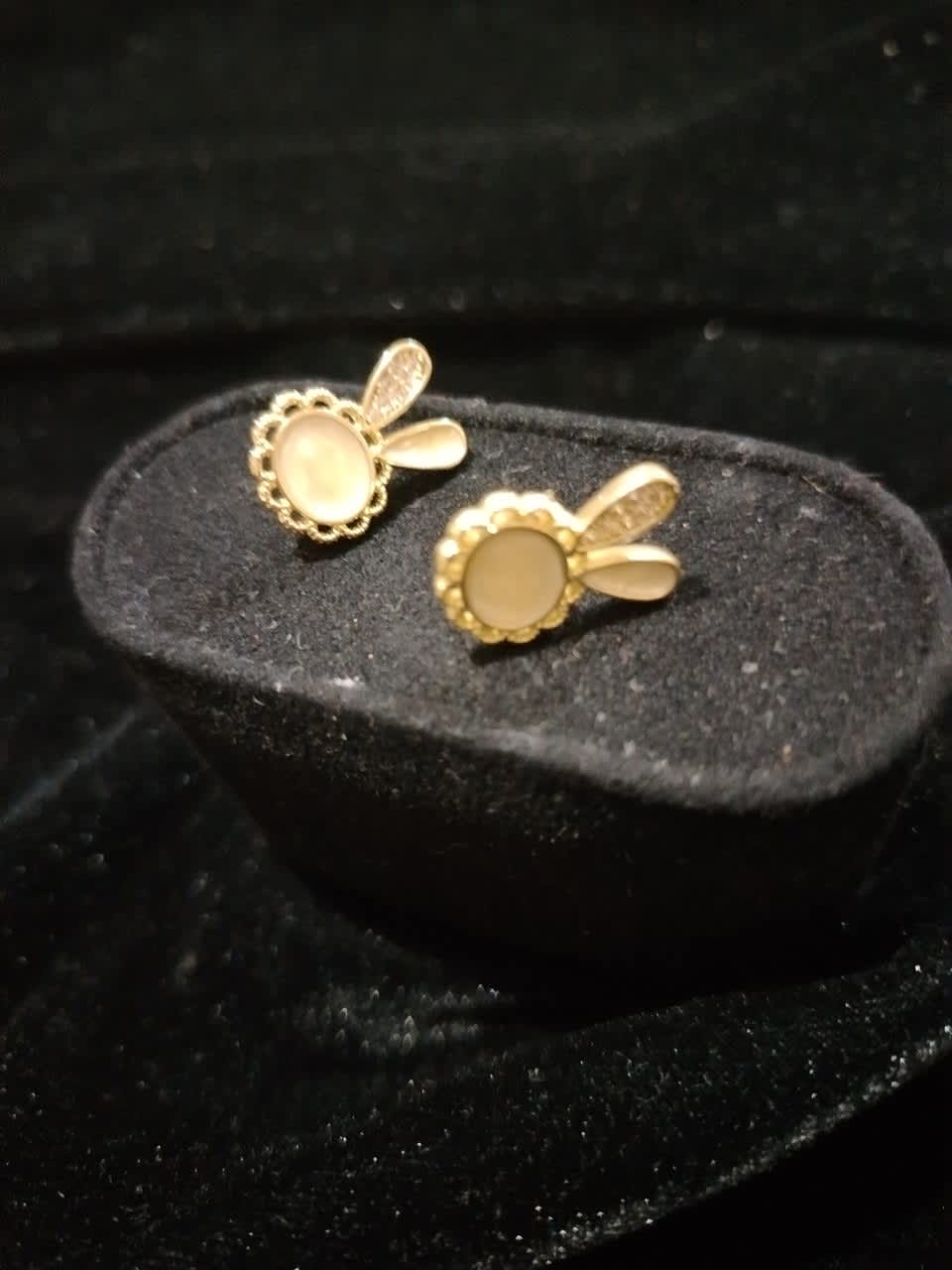 Topo rodio Dorado Conejito Nacarado 2
