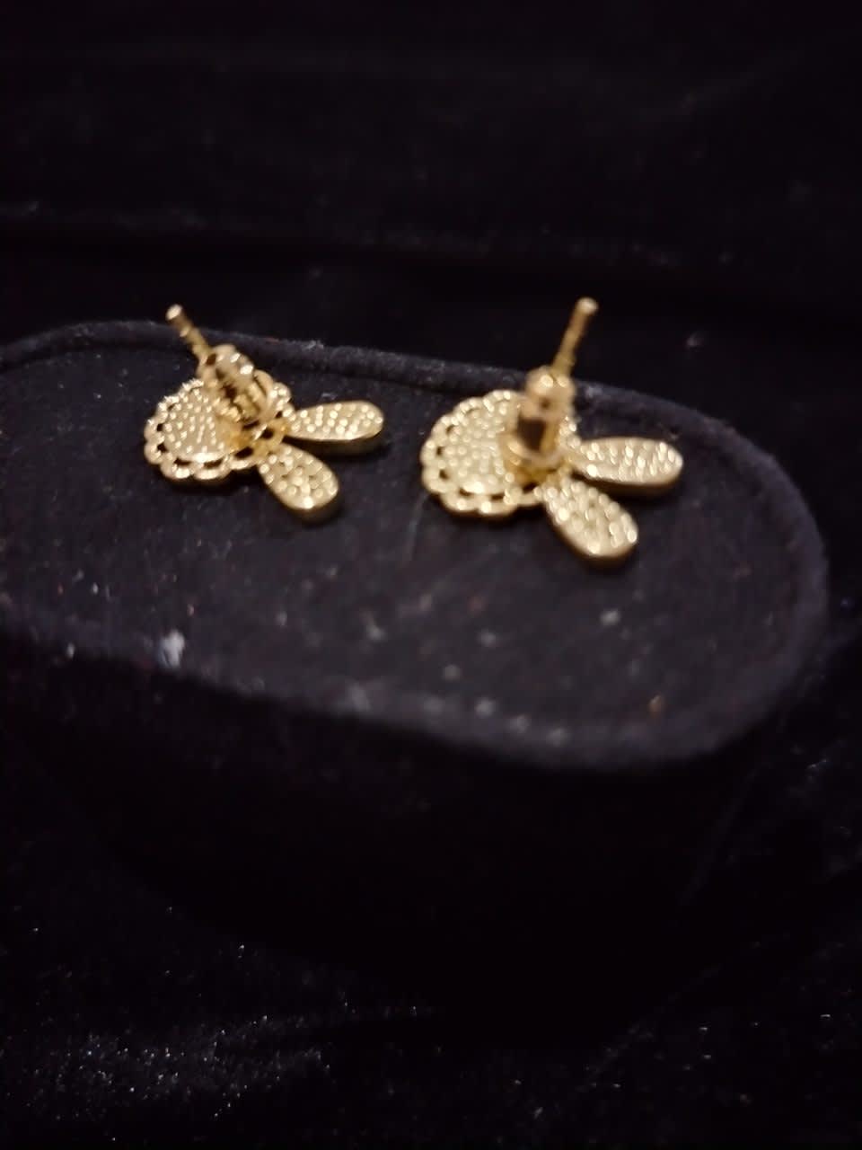 Topo rodio Dorado Conejito Nacarado 3
