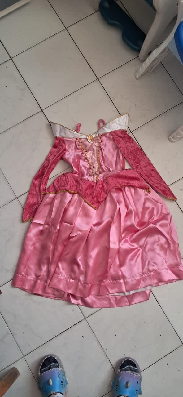 Disfraz cenicienta