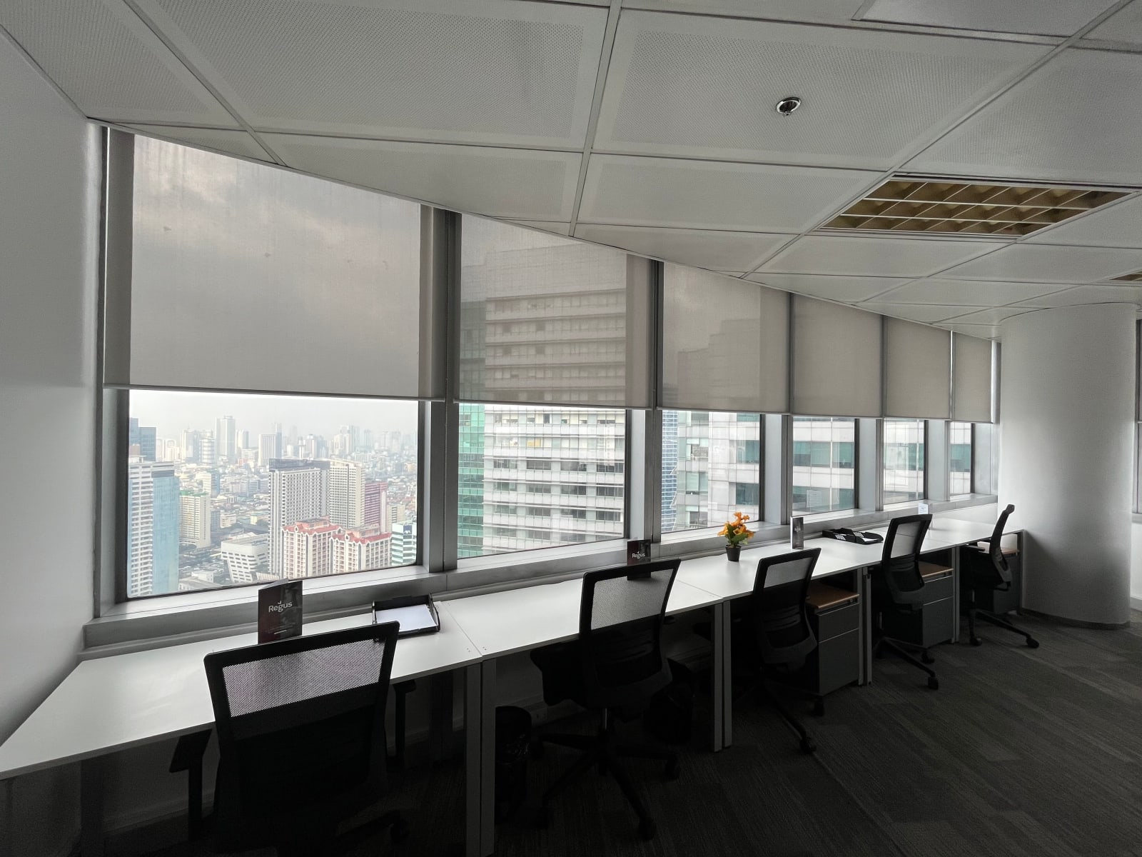 Commercial Screen Shades