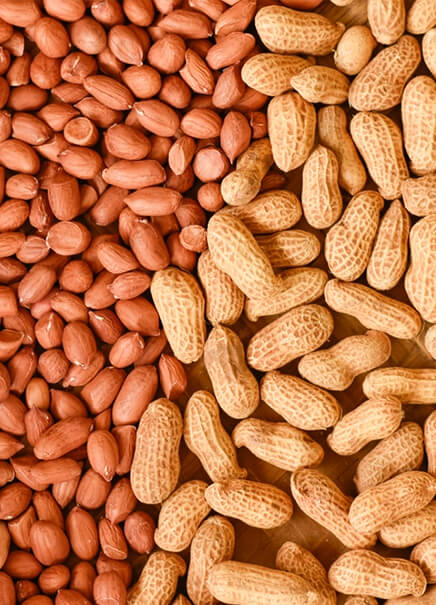 Dry Fruits