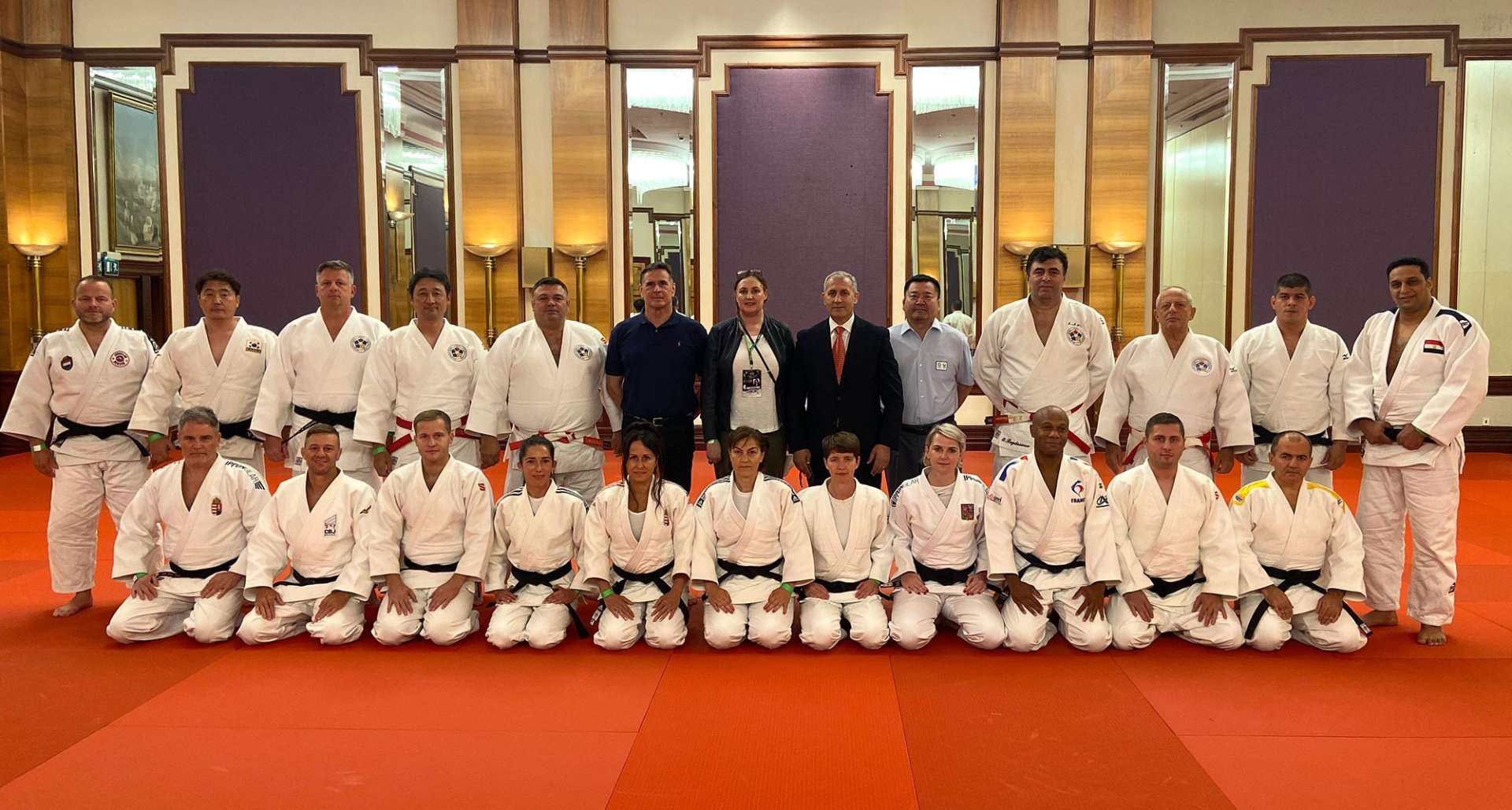 China IJF Approved Martial Art Style Tatami Judo Grappling Mats